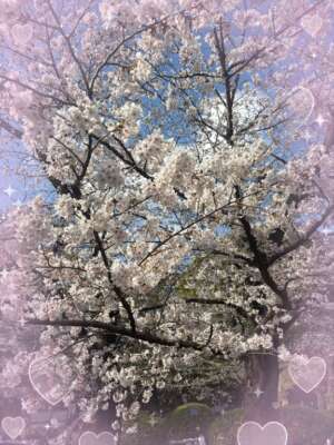 店舗ニュースフリー画像２