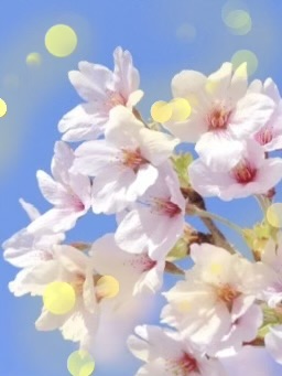 店舗ニュースフリー画像３