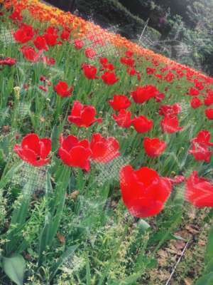 店舗ニュースフリー画像１