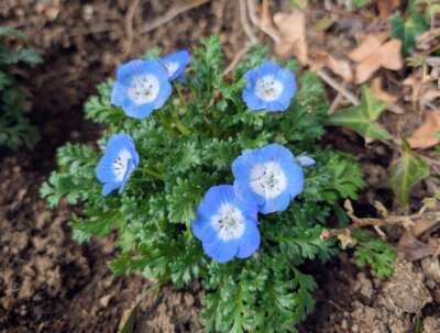 店舗ニュースフリー画像３