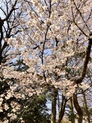 店舗ニュースフリー画像２