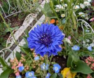 店舗ニュースフリー画像３