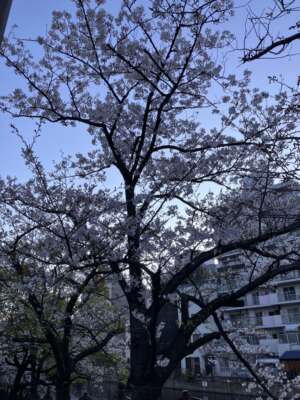 店舗ニュースフリー画像２