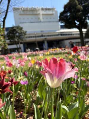 店舗ニュースフリー画像１