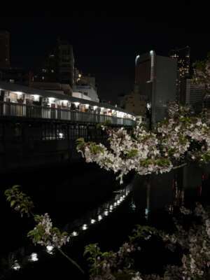 店舗ニュースフリー画像１